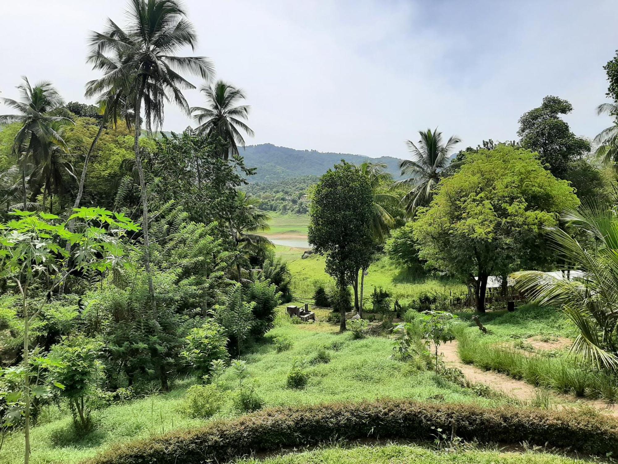 Victoria Views Resort Kandy Digana Extérieur photo